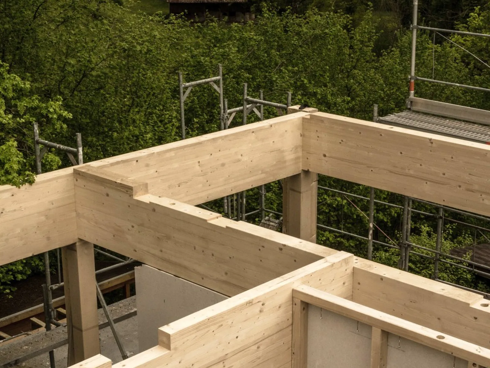 Holzkonstruktion eines Gebäudes im Bau, umgeben von grüner Landschaft und Gerüsten.