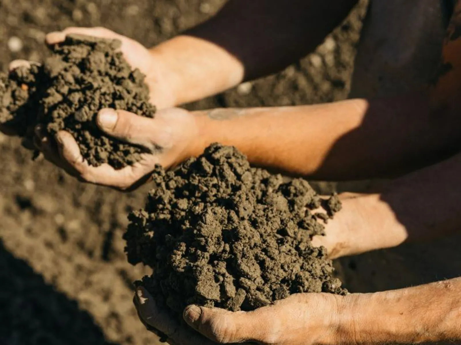 Zwei Hände halten feuchte Erde, symbolisierend nachhaltiges Bauen und Lehmbaukompetenz an der Universität Liechtenstein.