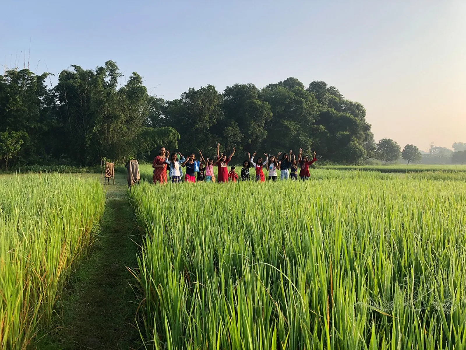 Eine Gruppe von Menschen steht in einem grünen Reisfeld in Bahuarwa, Indien, umgeben von Bäumen und einem klaren Himmel. Sie heben freudig die Arme, was eine Atmosphäre der Gemeinschaft und des Feierns vermittelt.