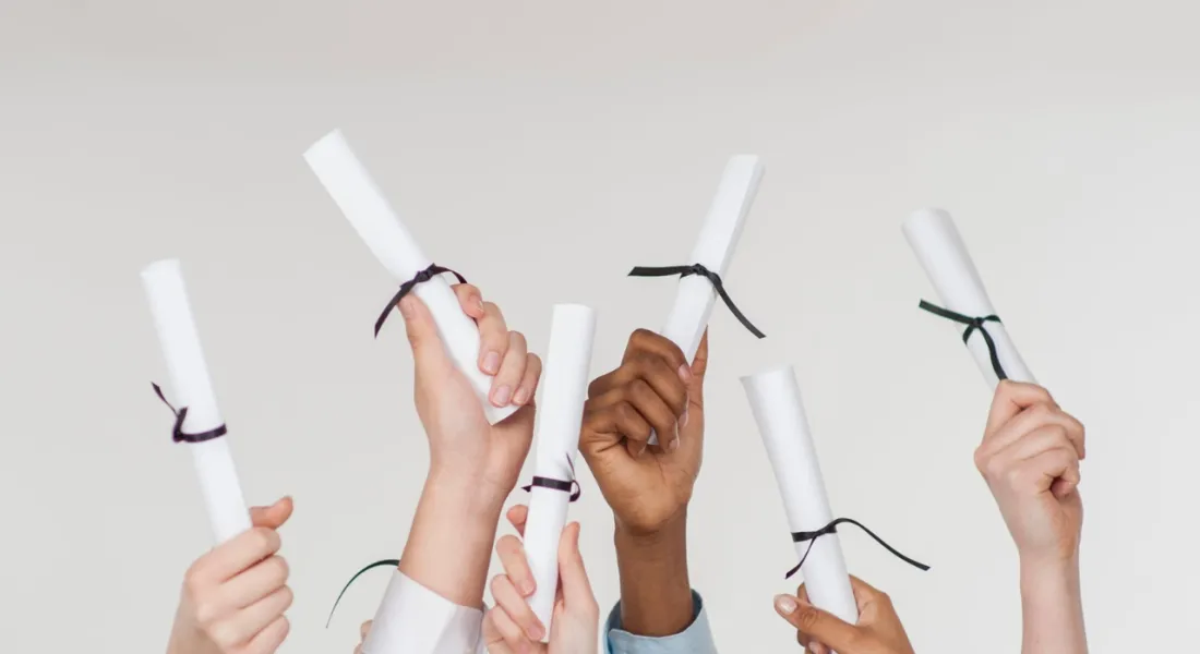 Diplom-und Zertifikatsstudiengange