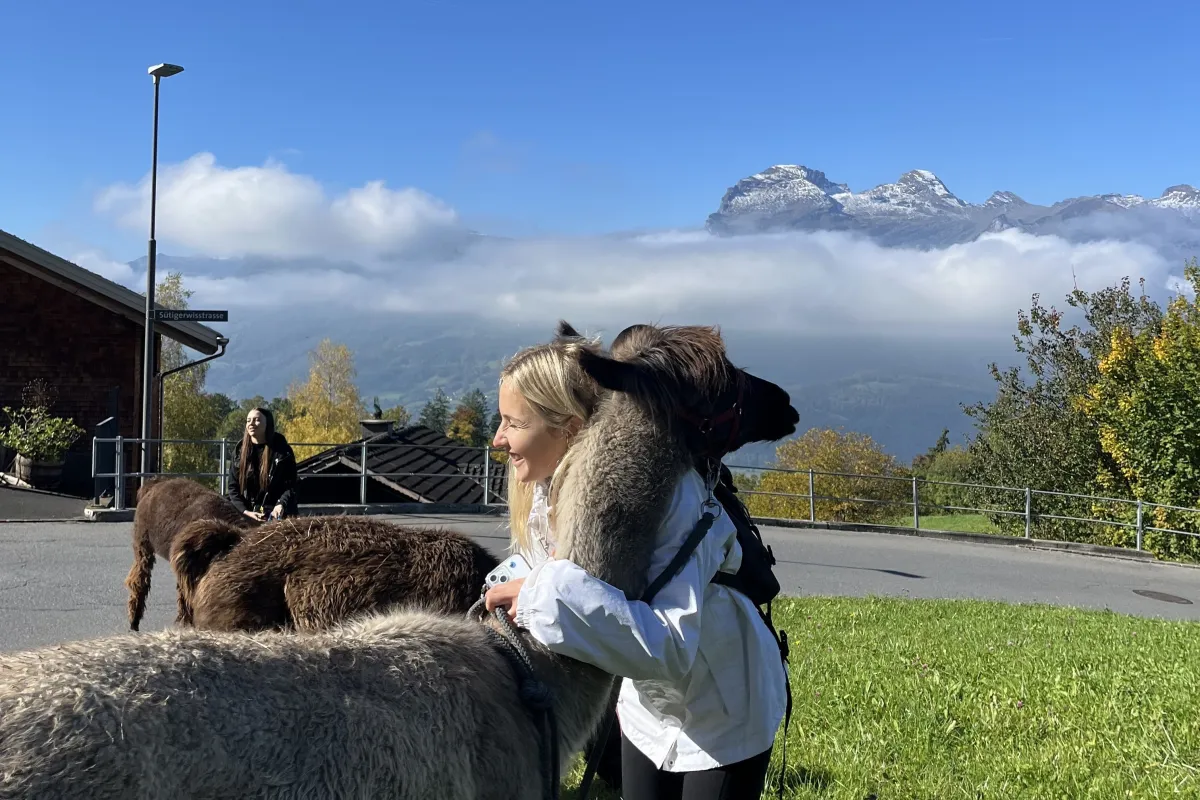 Ein Mädchen umarmt ein Alpaka