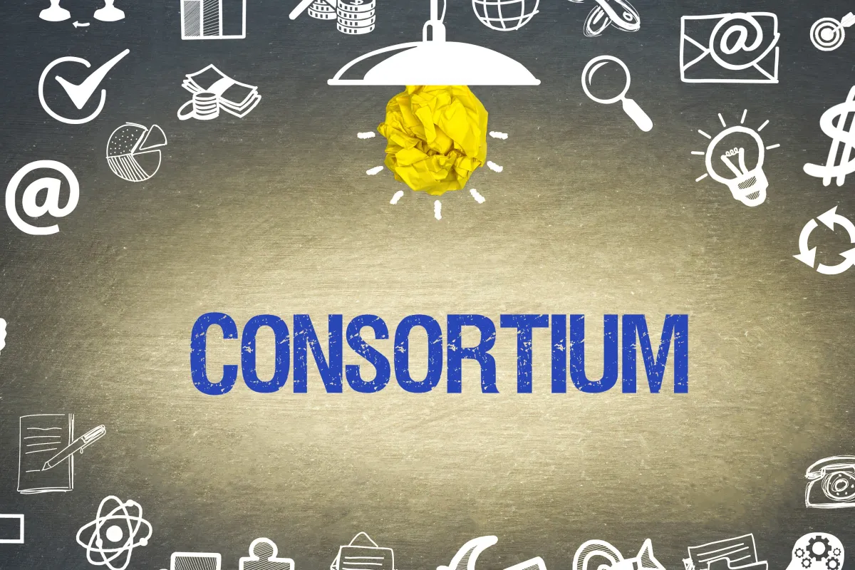 Bibliothek No-Deal Springer Sage