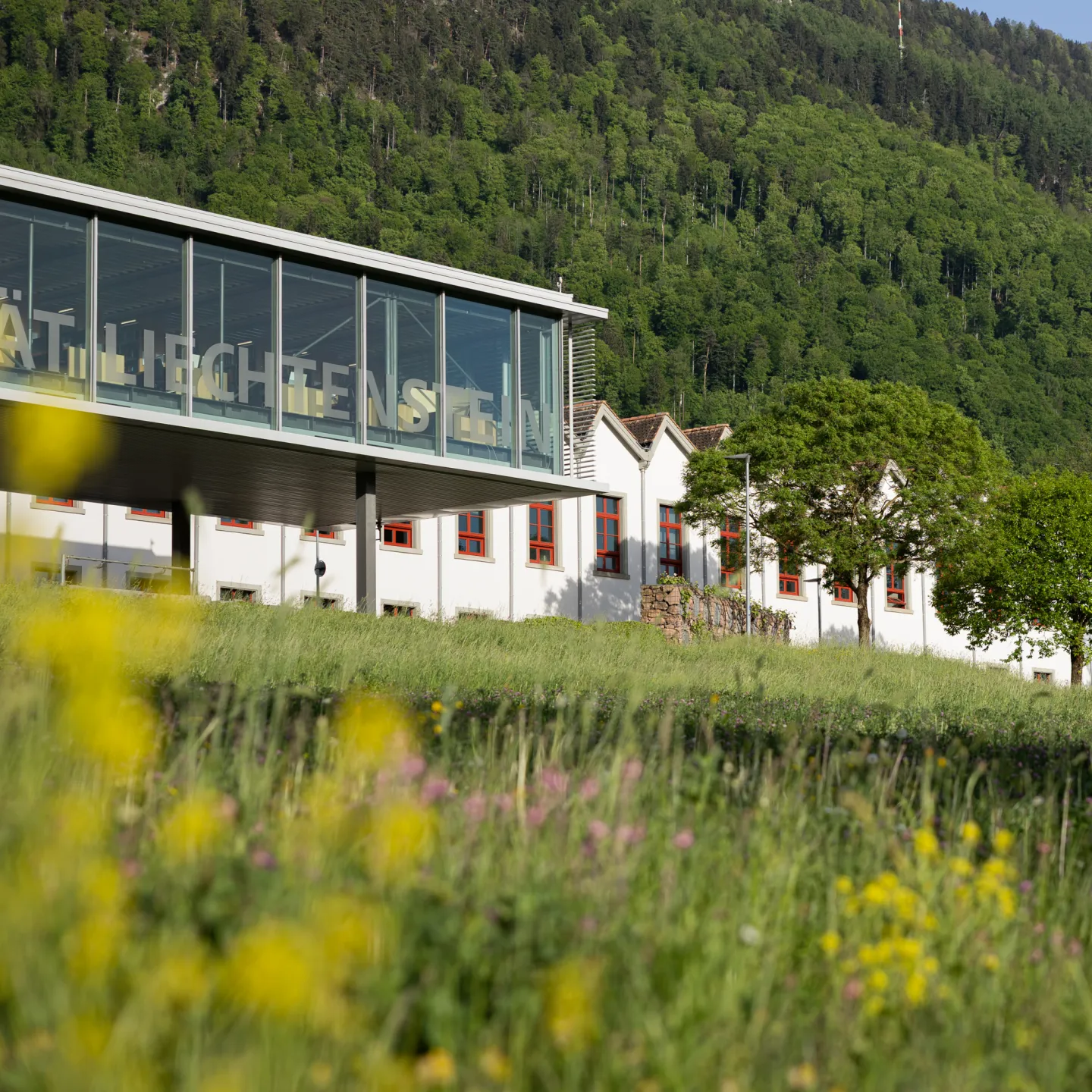 Gebäudereihe der Universität Liechtenstein im Grünen mit auffälligen roten Fensterrahmen und Blumenwiese.