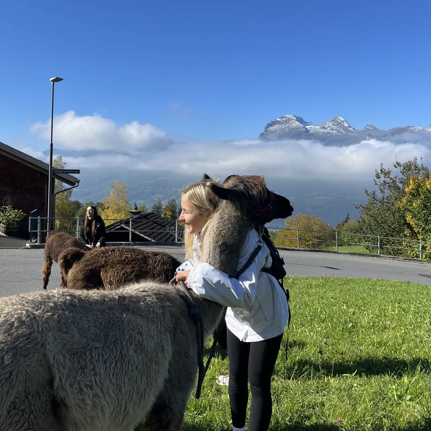 Ein Mädchen umarmt ein Alpaka