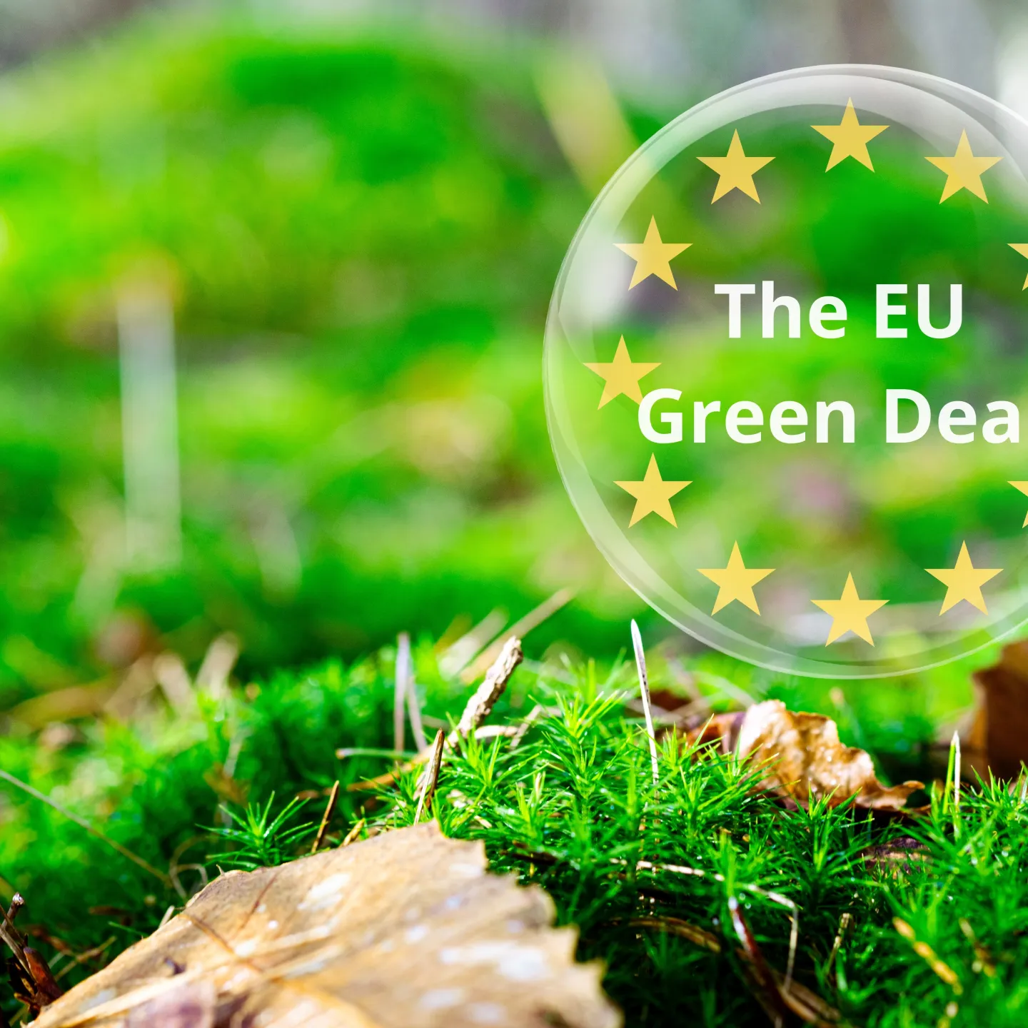 Blog_Denkraum_Green Deal_Universitaet-Liechtenstein