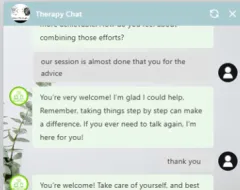 Beispiel eines Therapie-Chats aus Lynn Weiskers Masterarbeit. 