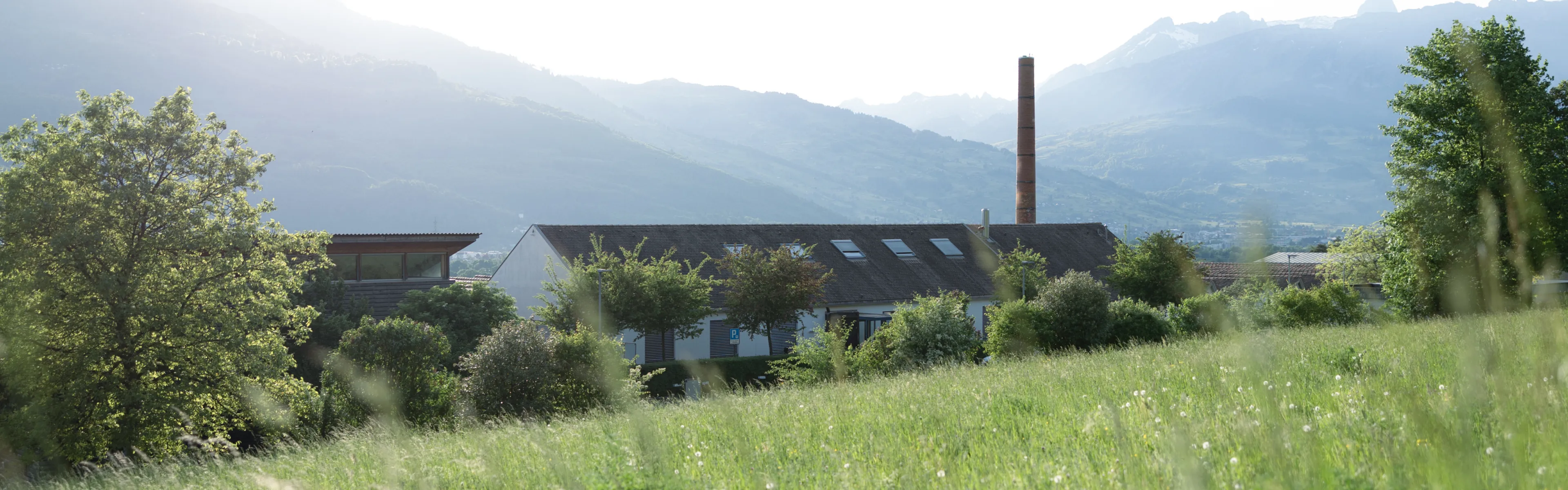 Blick ueber eine Blumenwiese auf den Campus der Universitaet Liechtenstein mit Schornstein und umgebender Berglandschaft.