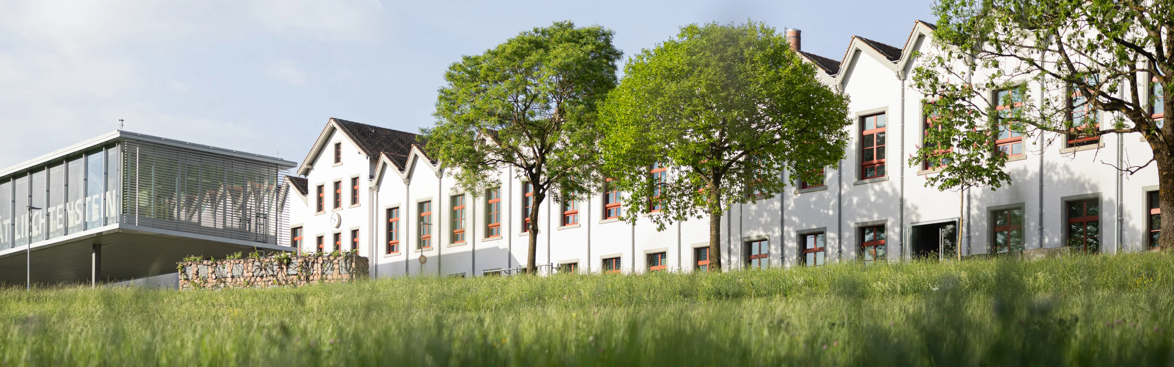 Blick über die Wiese auf die Universität Liechtenstein mit markanter weißer Fassade und Bäumen im Vordergrund.