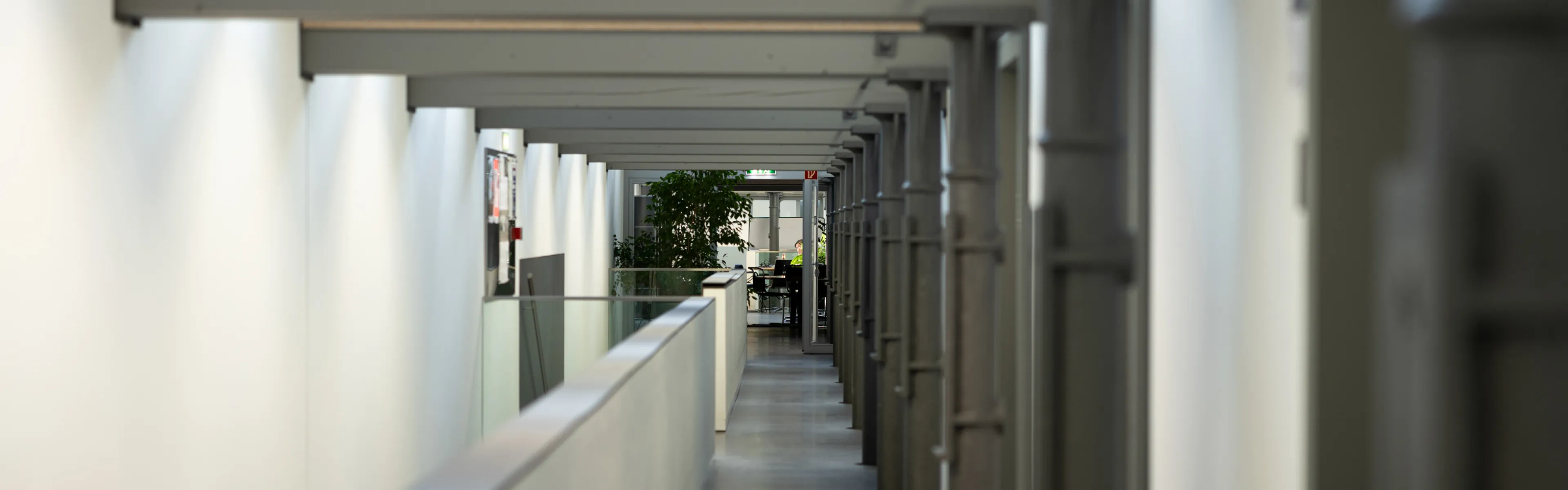Moderner Flur mit Säulen und Oberlichtern im Gebäude der Universität Liechtenstein.