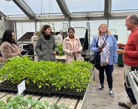 Eine Gruppe von Menschen steht in einem Gewächshaus und unterhält sich. Im Vordergrund sind Pflanzensetzlinge auf Tischen zu sehen.