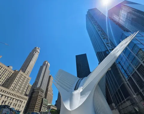 Blick auf moderne Wolkenkratzer und das Oculus-Gebäude in New York City bei strahlend blauem Himmel.