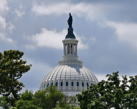 Kuppel des US-Kapitols in Washington D.C., umgeben von Bäumen, unter einem bewölkten Himmel.