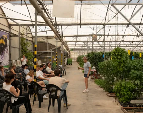 Frau führt Gruppe durch ein Gewächshaus