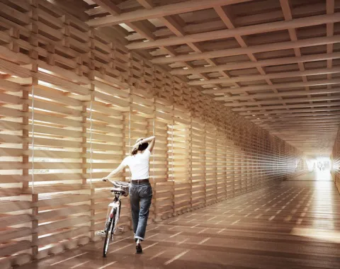 Holzgang mit Fahrrad im architektonischen Campusbereich der Universität Liechtenstein mit natürlichem Lichteinfall