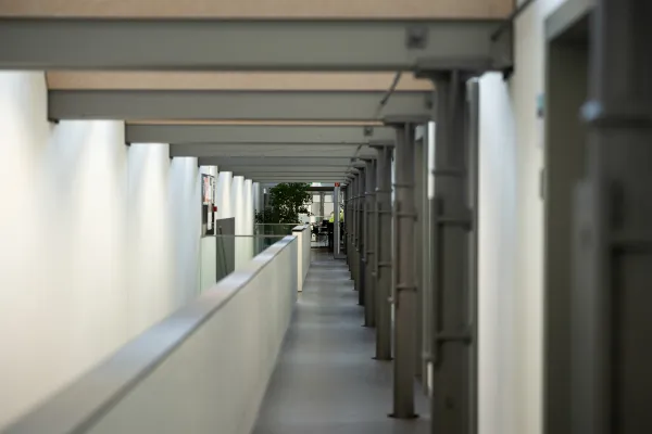 Moderner Flur mit Säulen und Oberlichtern im Gebäude der Universität Liechtenstein.