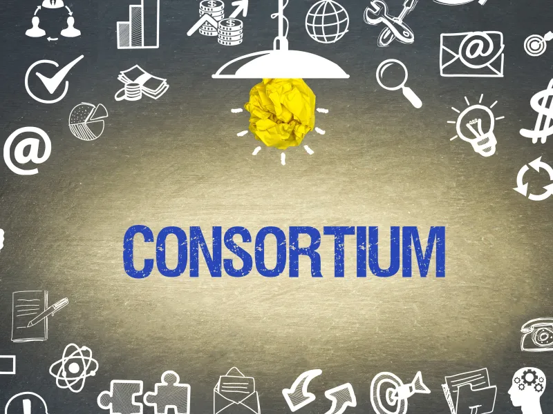 Bibliothek No-Deal Springer Sage